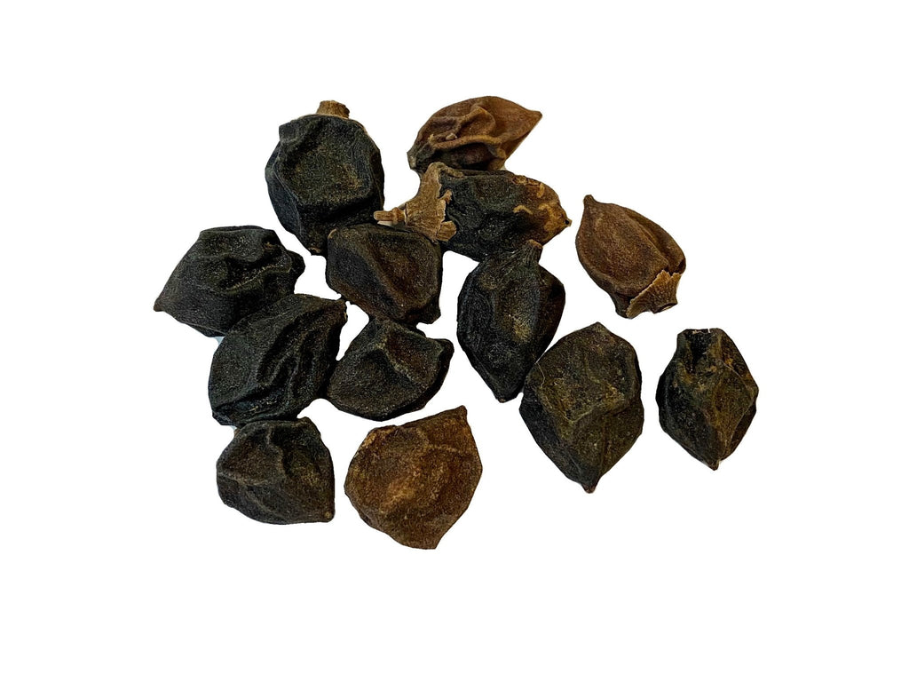 Cordia myxa - 13 g ( Se pestan ) - Herbal Tea - Kalamala - Kalamala