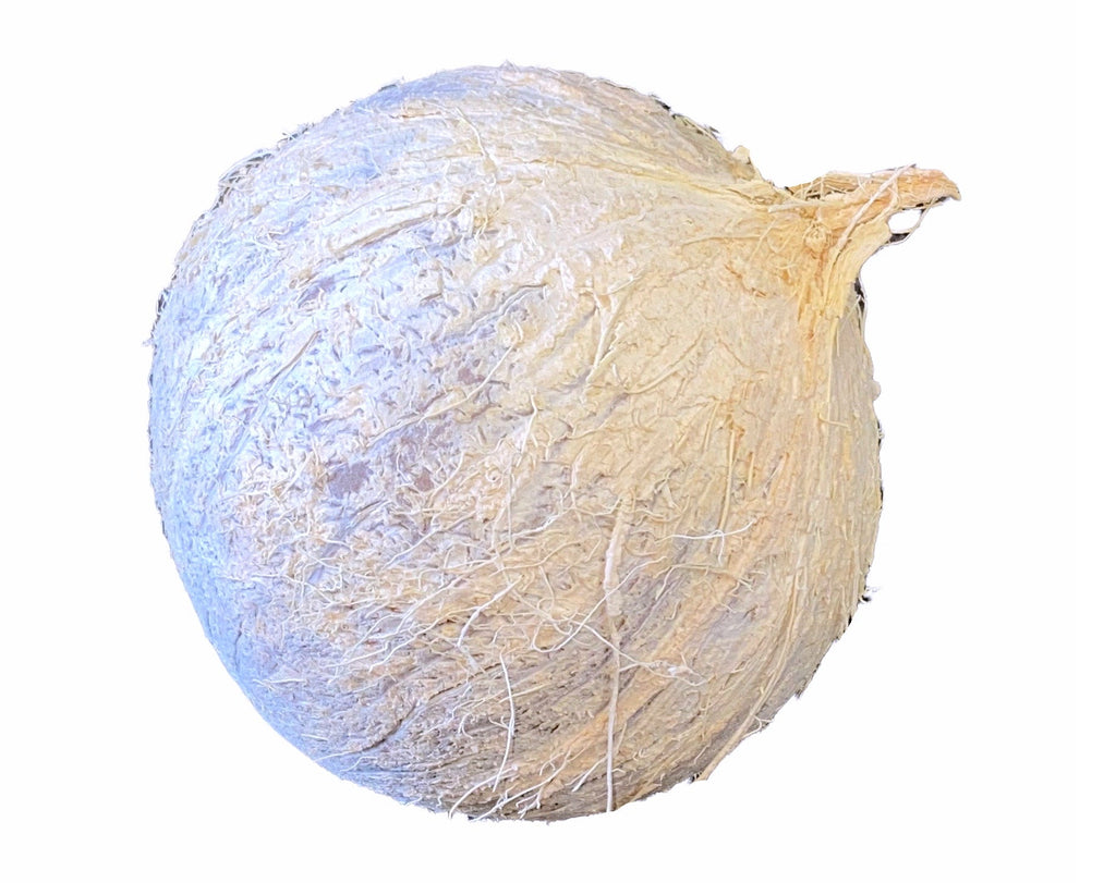 Fresh Coconut - White Skin - 1 Piece ( Nargil Tazeh ) - Fresh Fruit - Kalamala - Kalamala