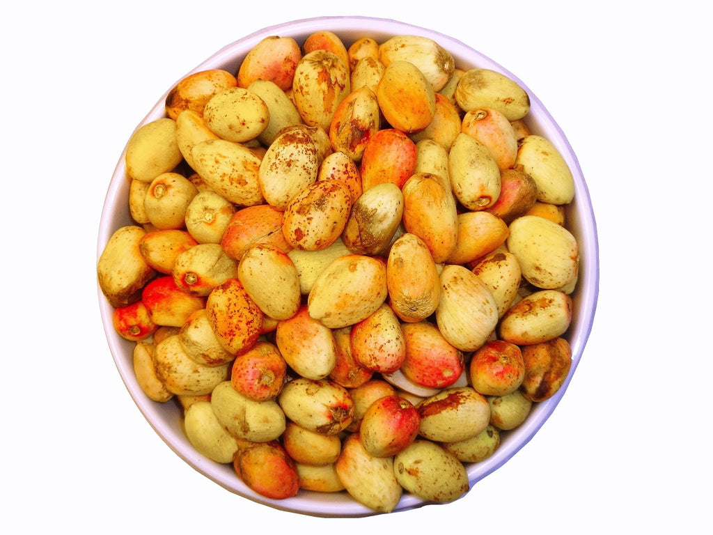Fresh Raw Pistachios 🟦 - With Shell & Skin - 2 Pounds ( Pesteh Tazeh ) - Fresh Nuts - Kalamala - Kalamala